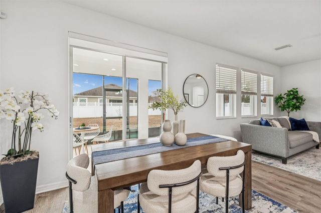 33102 SHADOW BRANCH LANE, Wesley Chapel, FL 33545