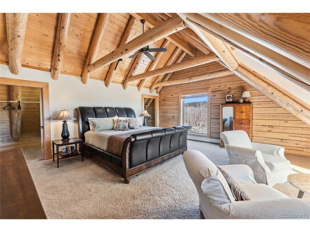 7195 County Road 5, Fairplay, CO 80440