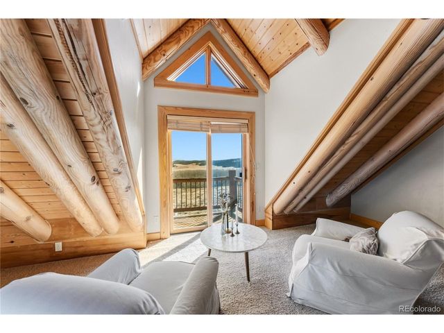 7195 County Road 5, Fairplay, CO 80440