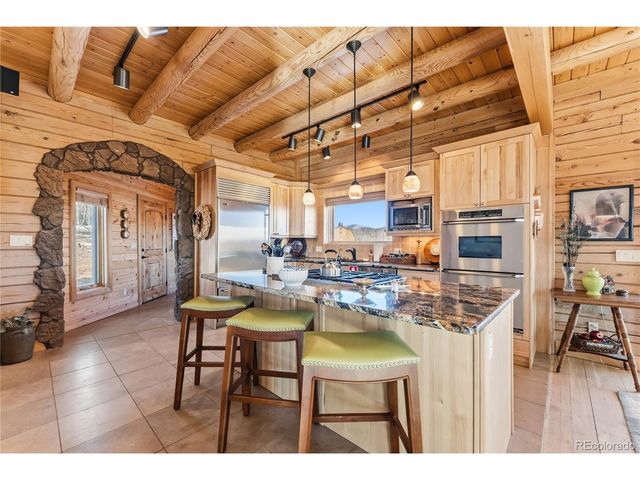 7195 County Road 5, Fairplay, CO 80440