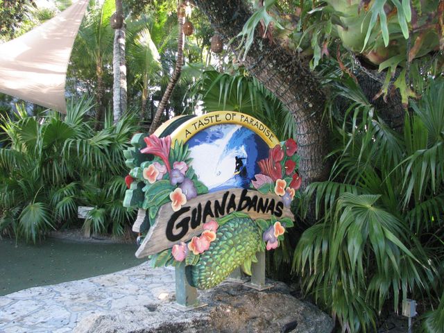 18398 N 131st Trl Trail N, Jupiter Farms, FL 33478, Jupiter, FL 33478