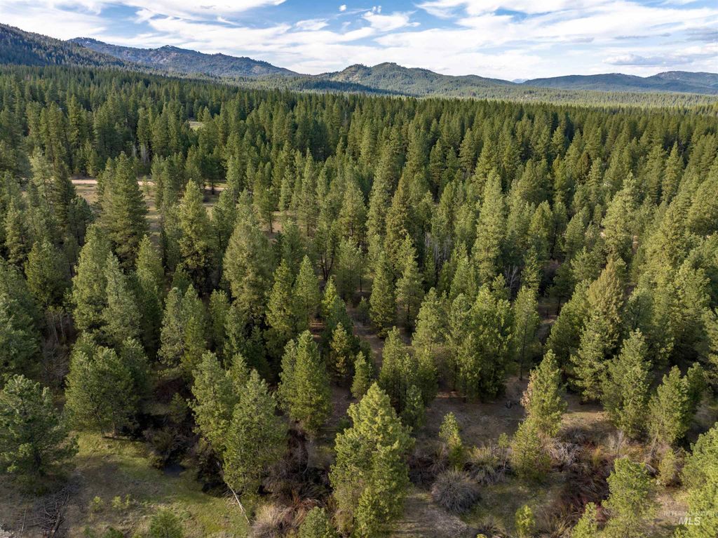 Lot 31 Trail Creek Ct, Placerville, ID 83666 photo 2