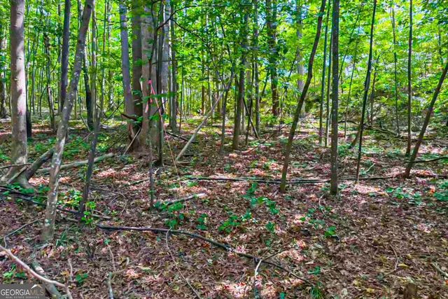 230 Industrial Park Drive, Commerce, GA 30529