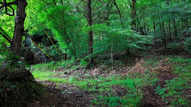 4 Cedar Hill Rd, White Bluff, TN 37187