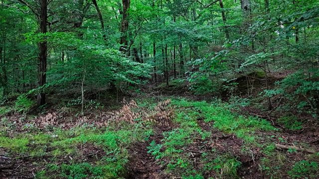 4 Cedar Hill Rd, White Bluff, TN 37187