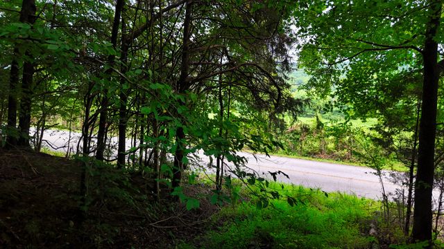 4 Cedar Hill Rd, White Bluff, TN 37187