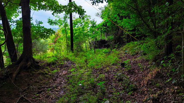 4 Cedar Hill Rd, White Bluff, TN 37187