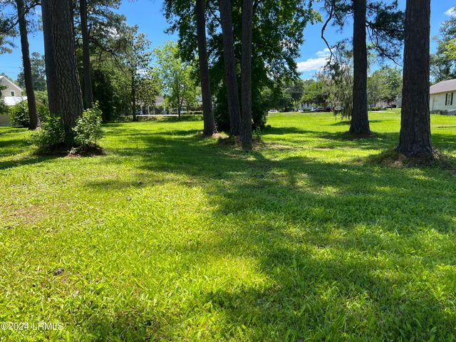 Tbd Elm Street, Hampton, SC 29924