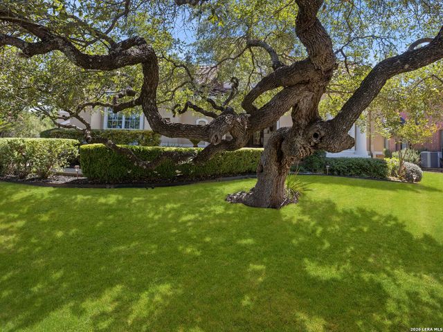 24718 Staffordshire, San Antonio, TX 78257