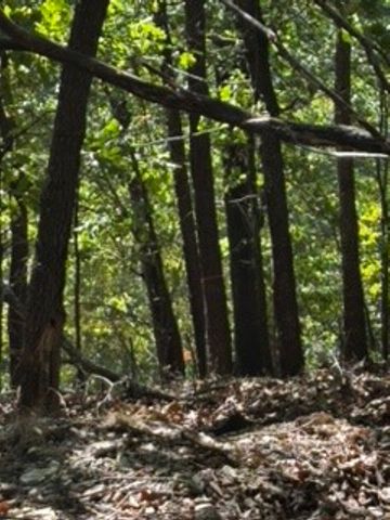 CR 1520 & TBD Amble, Eureka Springs, AR 72632
