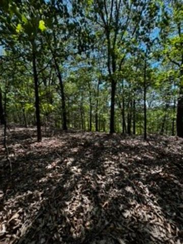 CR 1520 & TBD Amble, Eureka Springs, AR 72632