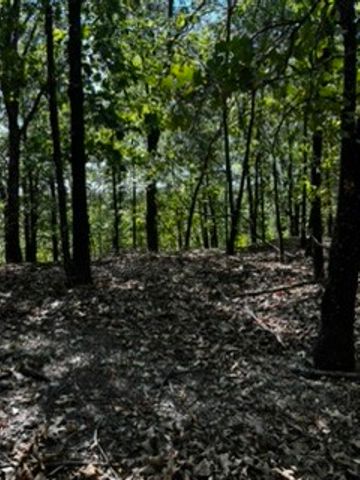 CR 1520 & TBD Amble, Eureka Springs, AR 72632