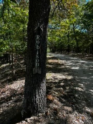 CR 1520 & TBD Amble, Eureka Springs, AR 72632