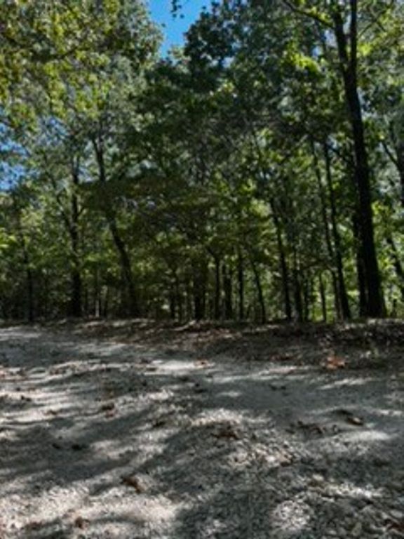 CR 1520 & TBD Amble, Eureka Springs, AR 72632