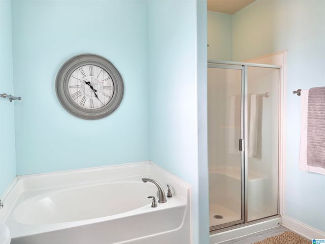 4093 OLD CAHABA PARKWAY, Helena, AL 35080