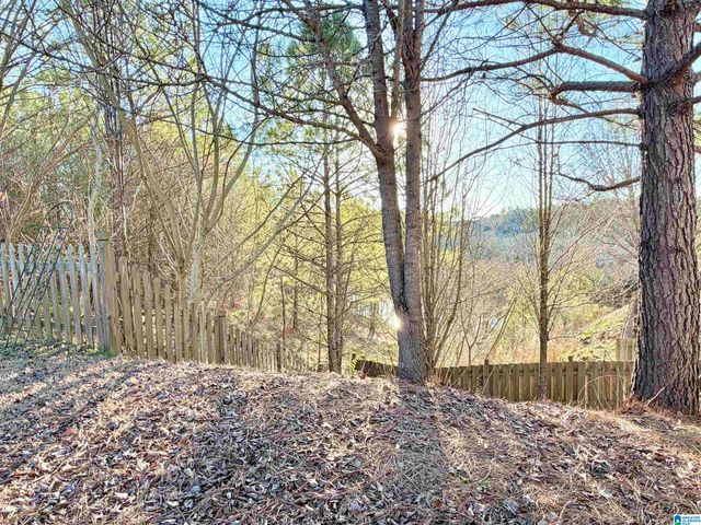 4093 OLD CAHABA PARKWAY, Helena, AL 35080
