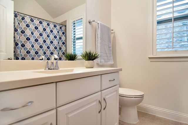 4213 Wilderness Pass, Fort Worth, TX 76262