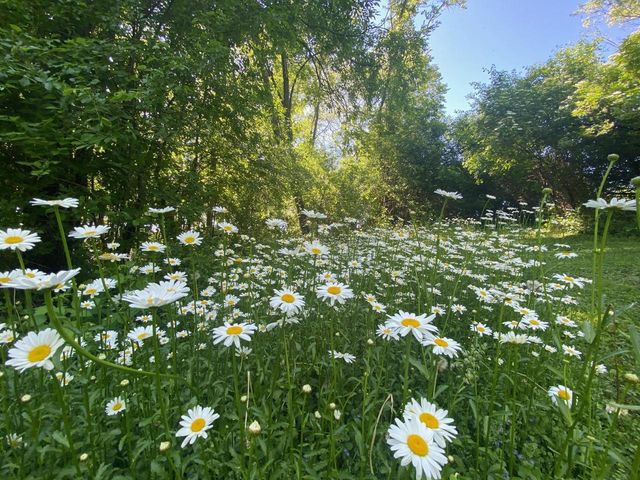 3891 Birch Trail, Cross Plains, WI 53528