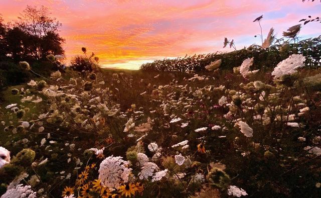 3891 Birch Trail, Cross Plains, WI 53528