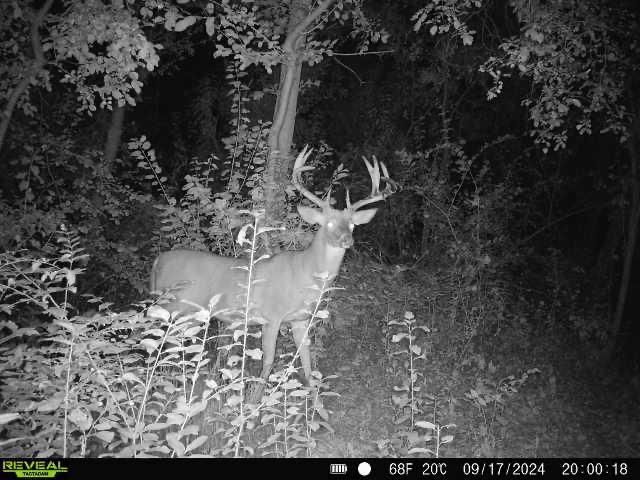 3891 Birch Trail, Cross Plains, WI 53528