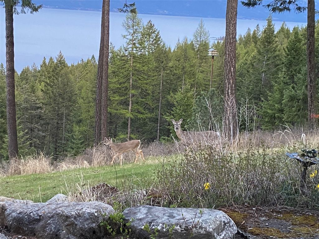 18082 Demersville Wagon Road, Lakeside, MT 59922 photo 108