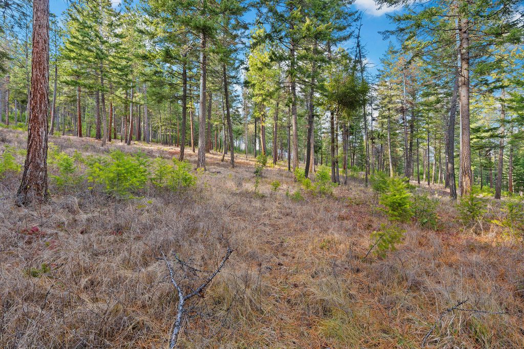 18082 Demersville Wagon Road, Lakeside, MT 59922 photo 93