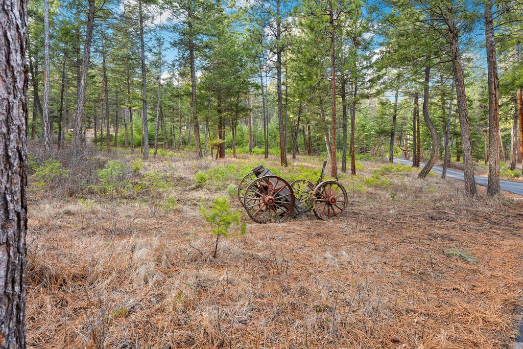 18082 Demersville Wagon Road, Lakeside, MT 59922 photo 94