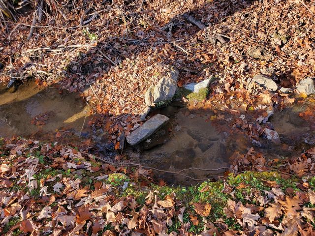 00 Ingram Branch Road, Roan Mountain, TN 37687