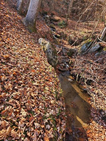 00 Ingram Branch Road, Roan Mountain, TN 37687