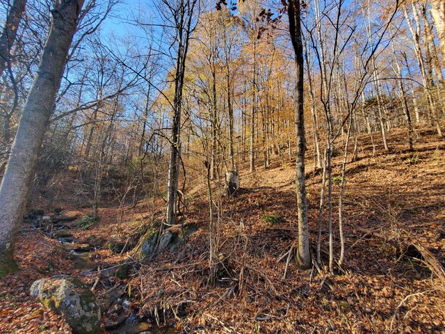 00 Ingram Branch Road, Roan Mountain, TN 37687
