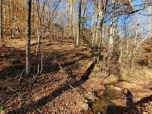 00 Ingram Branch Road, Roan Mountain, TN 37687