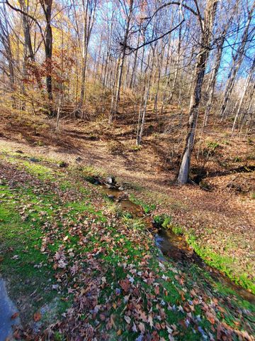 00 Ingram Branch Road, Roan Mountain, TN 37687