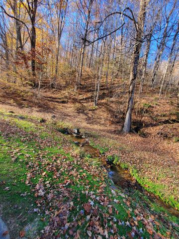 00 Ingram Branch Road, Roan Mountain, TN 37687