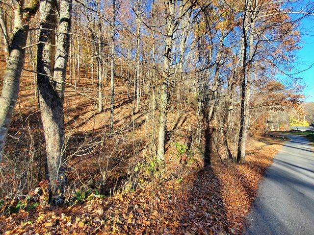 00 Ingram Branch Road, Roan Mountain, TN 37687