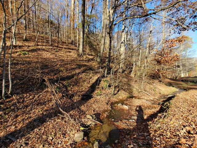 00 Ingram Branch Road, Roan Mountain, TN 37687