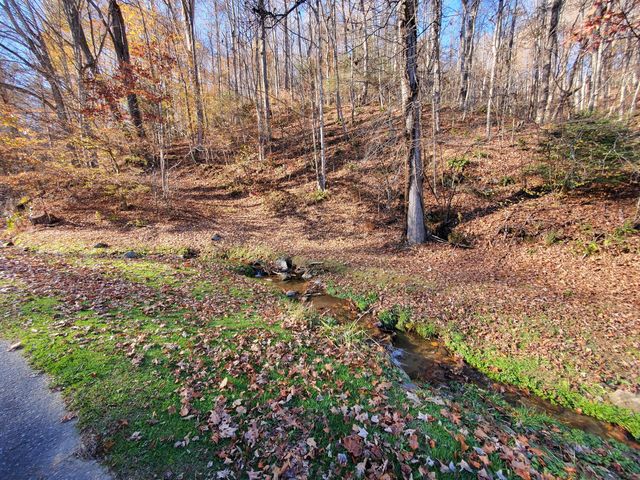 00 Ingram Branch Road, Roan Mountain, TN 37687