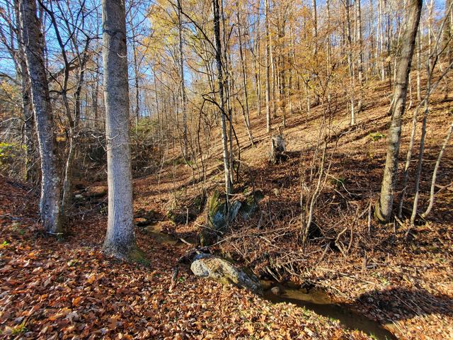 00 Ingram Branch Road, Roan Mountain, TN 37687