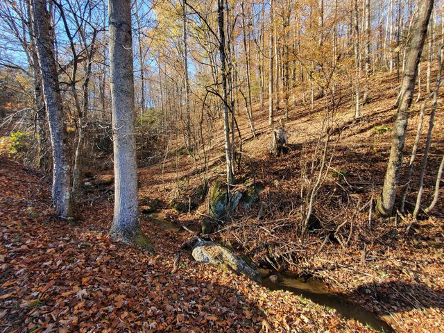 00 Ingram Branch Road, Roan Mountain, TN 37687