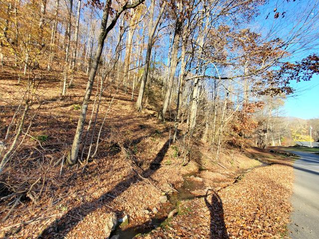 00 Ingram Branch Road, Roan Mountain, TN 37687