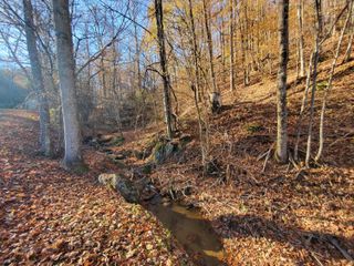 00 Ingram Branch Road, Roan Mountain, TN 37687