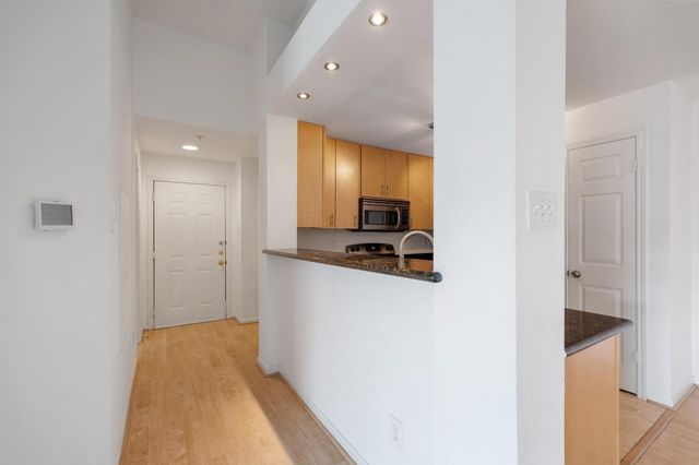 3231 Allen Parkway 4307, Houston, TX 77019