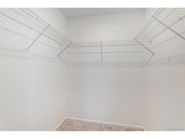 14203 Hop Clover Trl, Parker, CO 80134