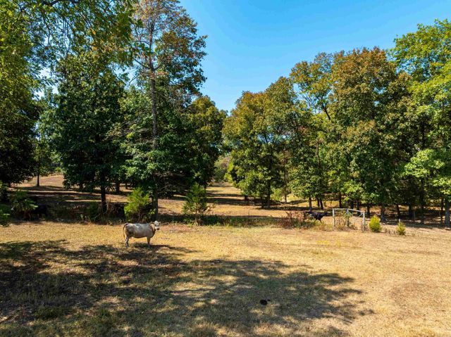 345 Backbone Road, Evening Shade, AR 72432