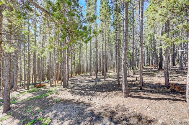 Lot 172 Lower Forest Road, Idaho Springs, CO 80452