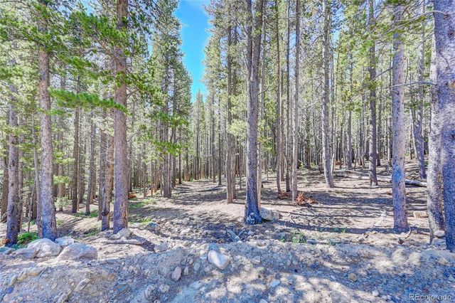 Lot 172 Lower Forest Road, Idaho Springs, CO 80452