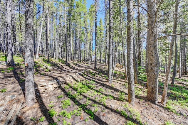 Lot 172 Lower Forest Road, Idaho Springs, CO 80452