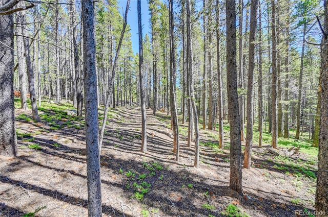 Lot 172 Lower Forest Road, Idaho Springs, CO 80452