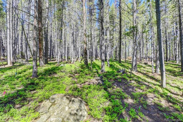 Lot 172 Lower Forest Road, Idaho Springs, CO 80452