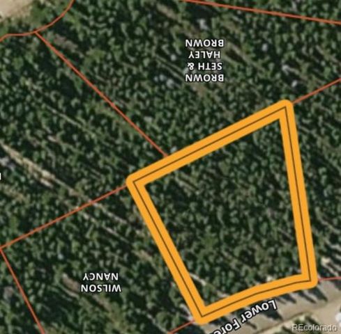 Lot 172 Lower Forest Road, Idaho Springs, CO 80452