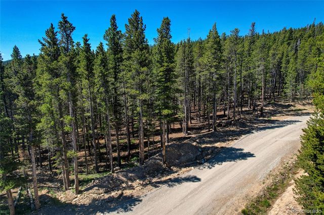 Lot 172 Lower Forest Road, Idaho Springs, CO 80452